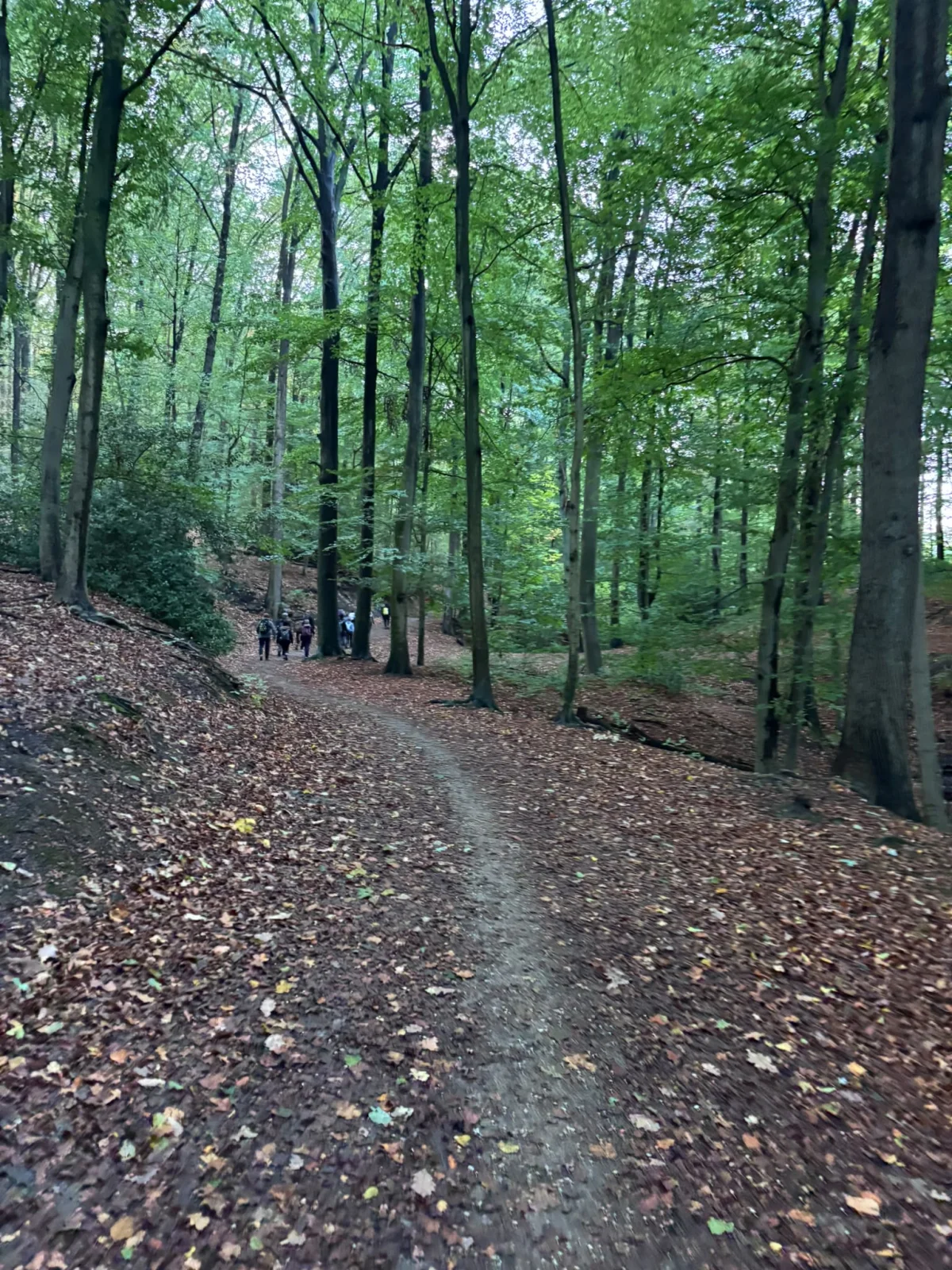 Mammutmarsch Dortmund 2026: Foto von Christian (55 km)