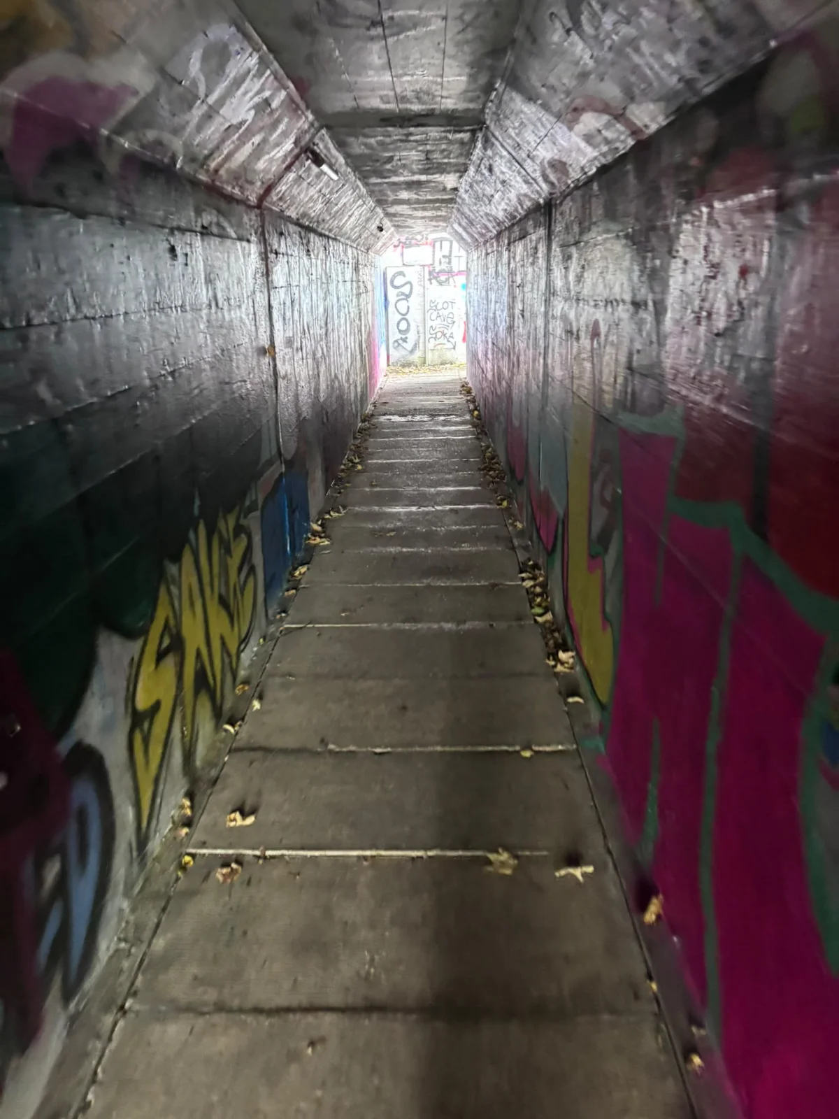 Mammutmarsch Dortmund 2026: Foto von Christian (55 km)